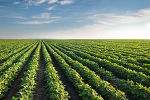 Weltblick © Dusan Kostic - Fotolia.com