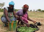 Burkina Faso
